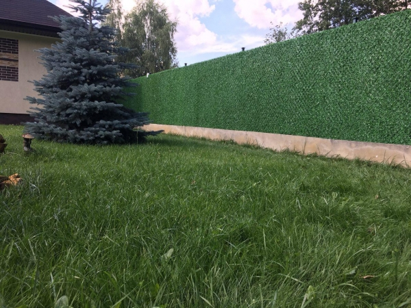 Зелена декоративна огорожа 3